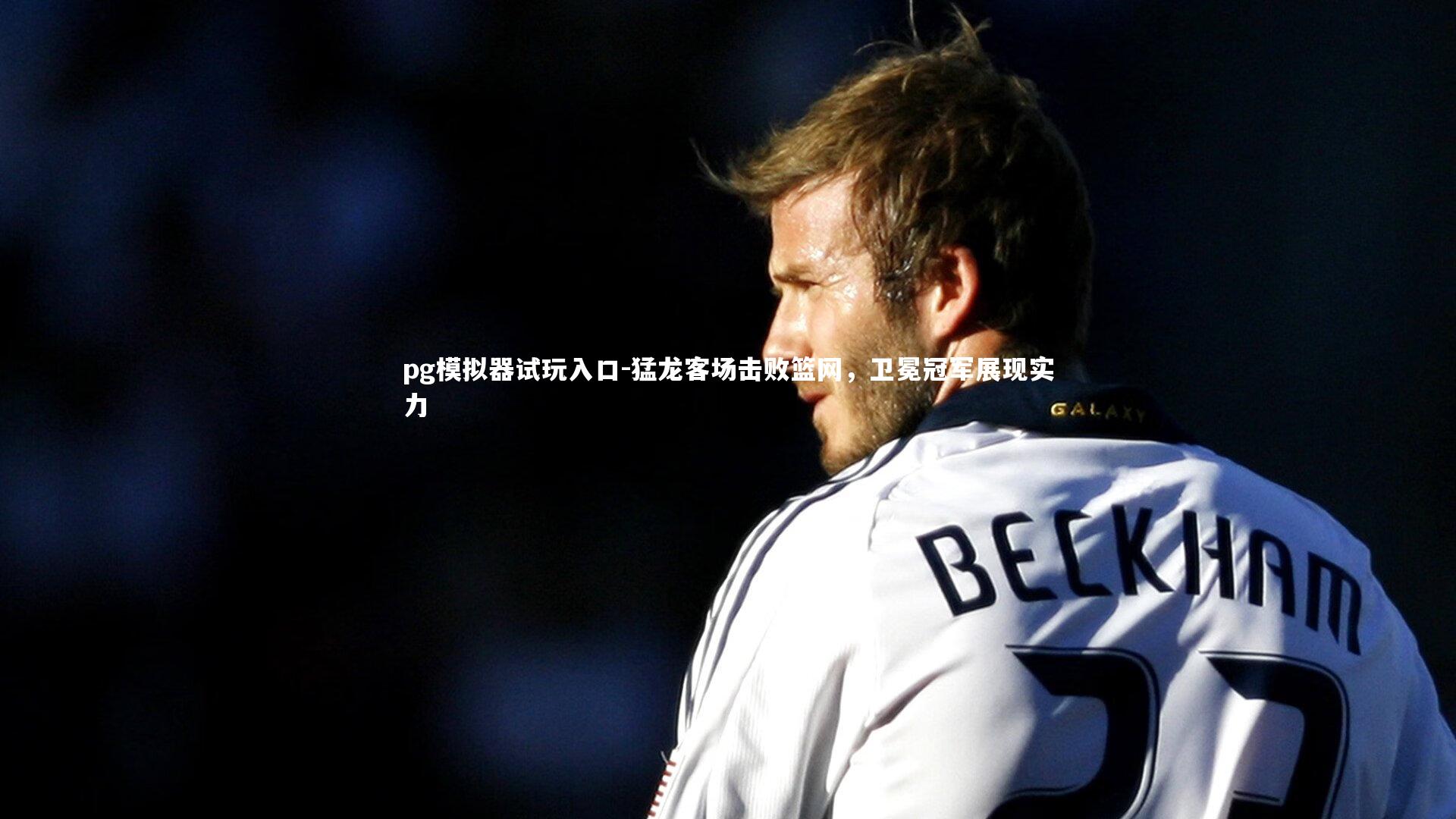 pg模拟器试玩入口-猛龙客场击败篮网，卫冕冠军展现实力
