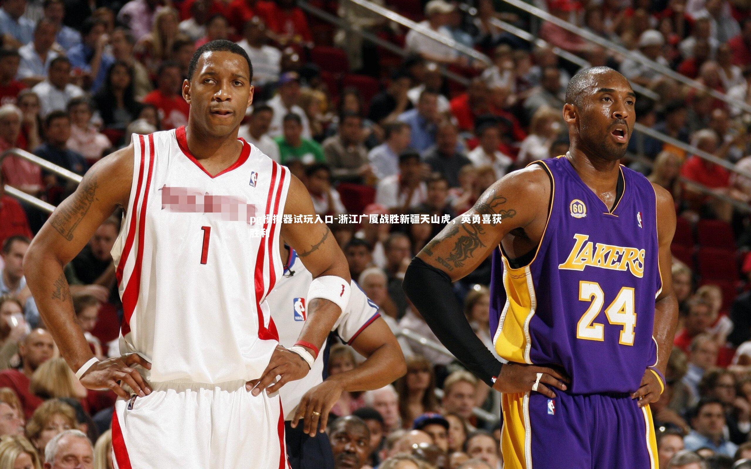 pg模拟器试玩入口-浙江广厦战胜新疆天山虎，英勇喜获胜利