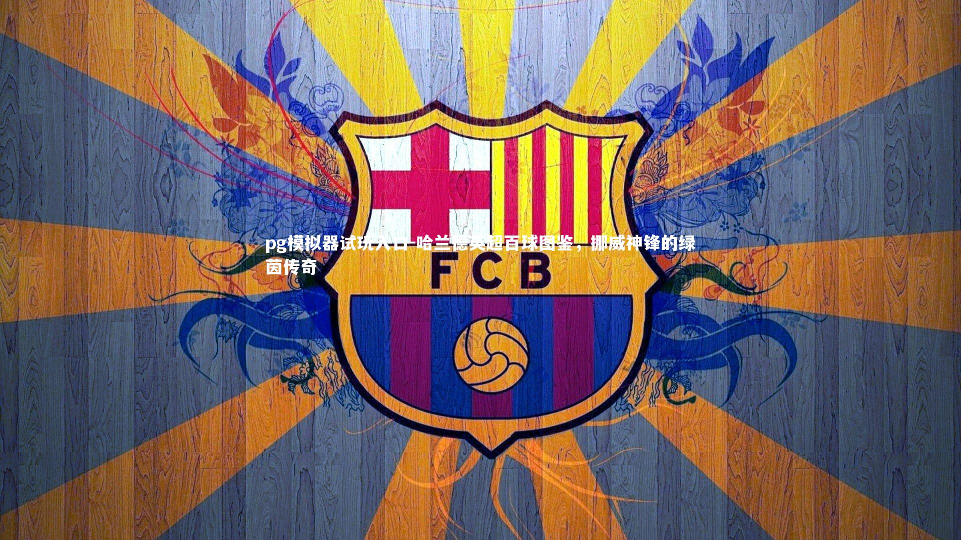 哈兰德英超百球图鉴，挪威神锋的绿茵传奇